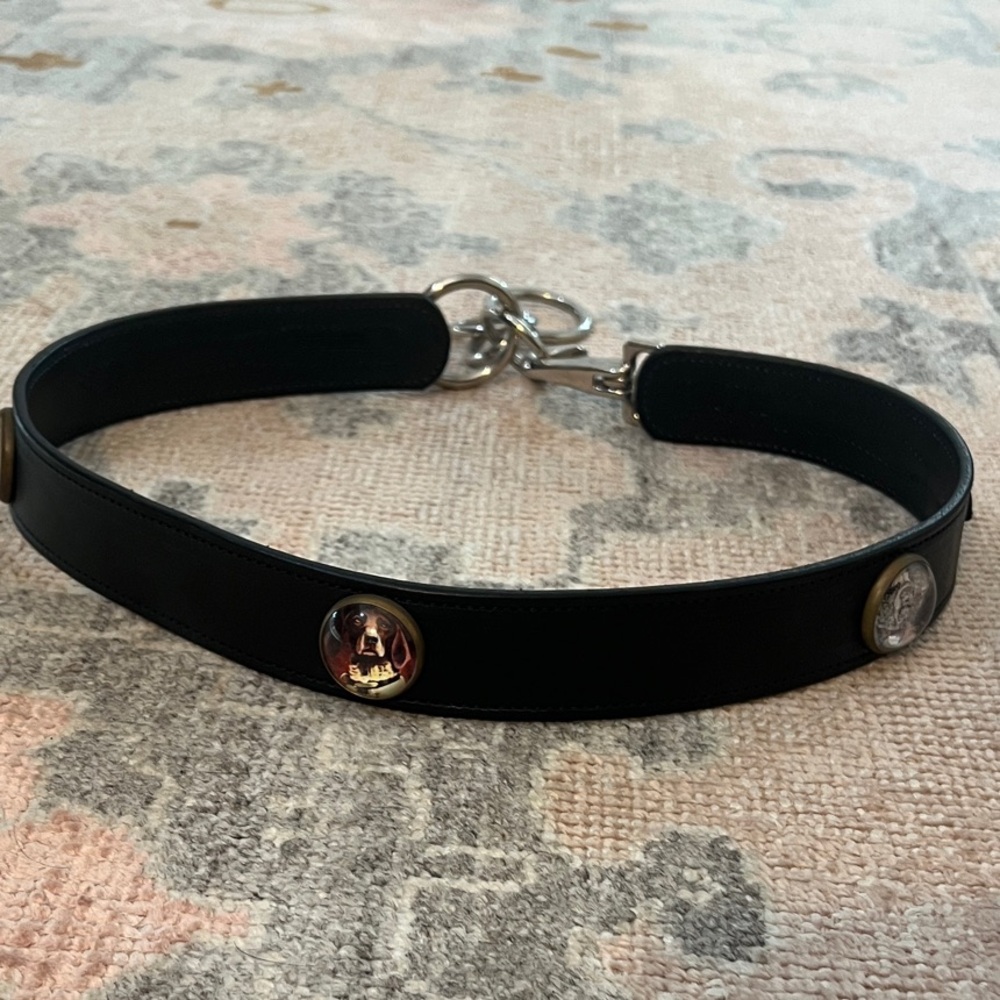 Rebecca Ray Belt with Dog 🐕 Accents